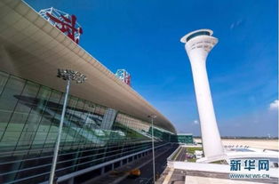 武漢，網紅城市的魅力正在綻放